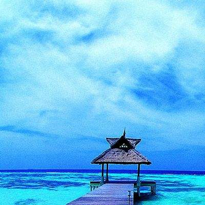 皇冠crown体育下载