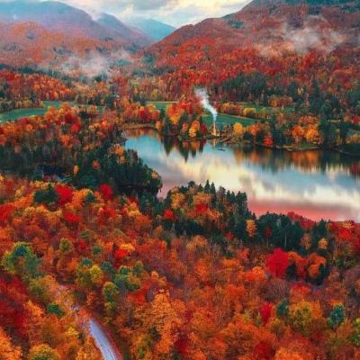 Welcome彩票中心注册大厅进入app下载截图