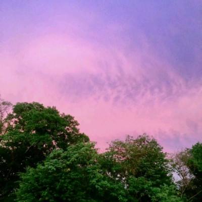 BOB半岛·中国官方网站入口