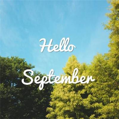 新乐动体育app下载官网