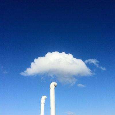 斗牛棋牌下载手机版截图