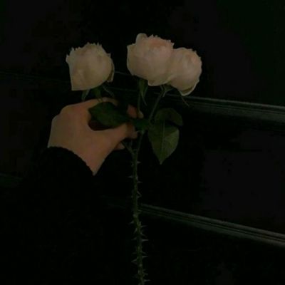 ng体育电子游戏app下载